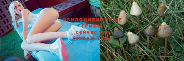 трава Баксан