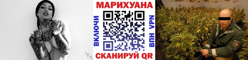 Канабис семена Пересвет
